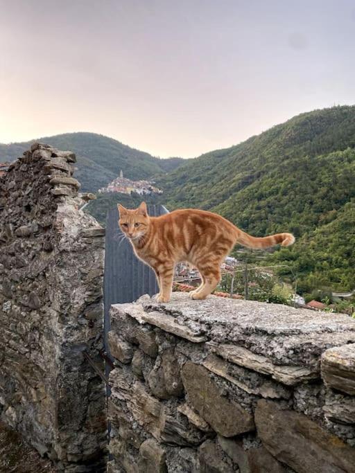 Iconic Italian Townhouse W Rooftop Terrace & Mountain View, Пиня Екстериор снимка