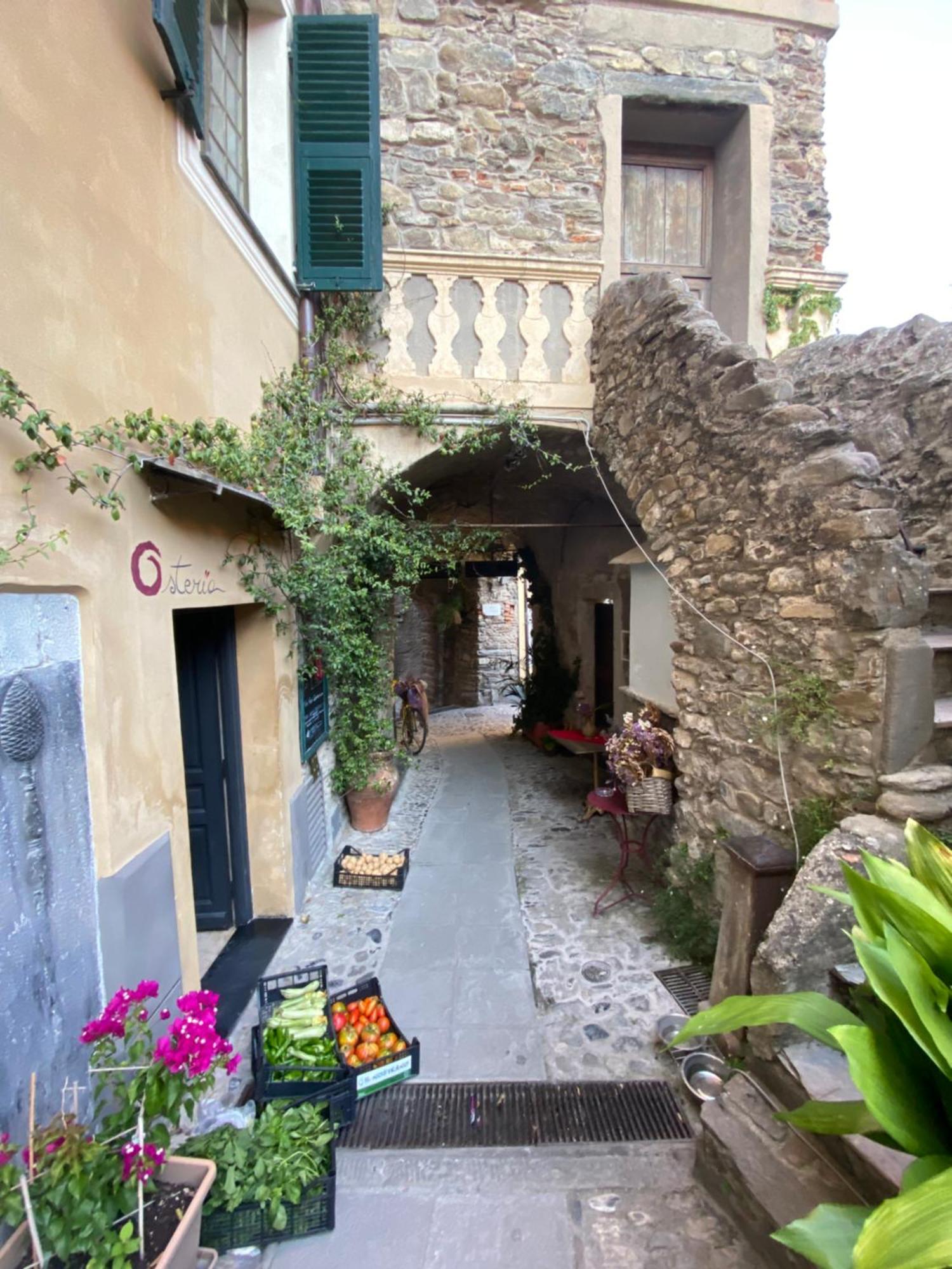 Iconic Italian Townhouse W Rooftop Terrace & Mountain View, Пиня Екстериор снимка
