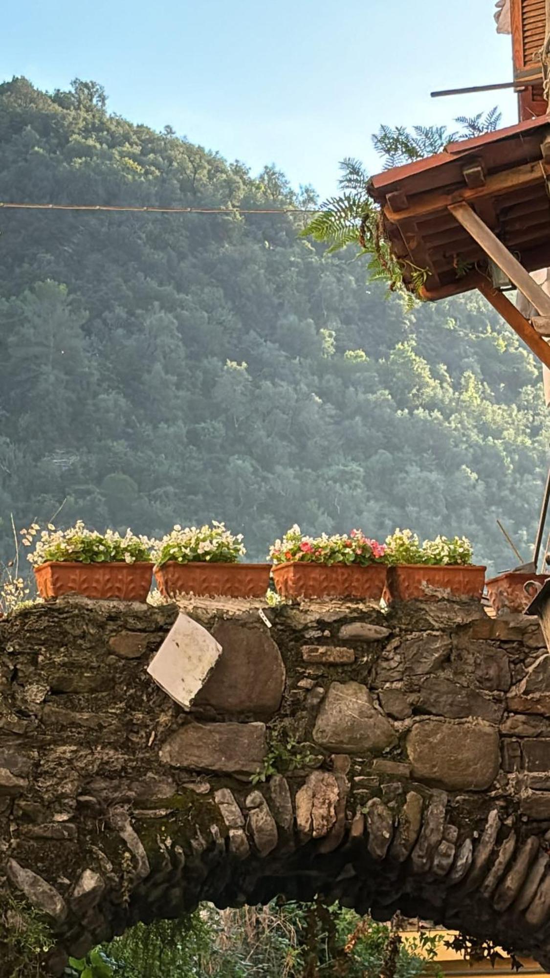 Iconic Italian Townhouse W Rooftop Terrace & Mountain View, Пиня Екстериор снимка
